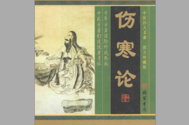 伤寒论pdf高清电子书中医书籍